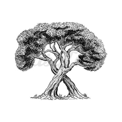 Two Trees - Temporary Tattoo