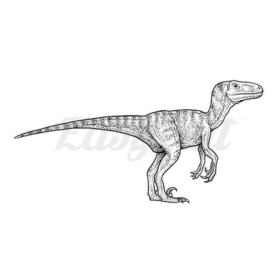 Velociraptor Dinosaur - Temporary Tattoo