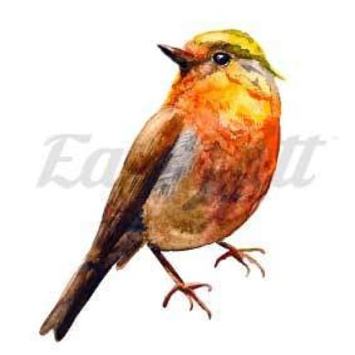 Watercolour Bird - Temporary Tattoo