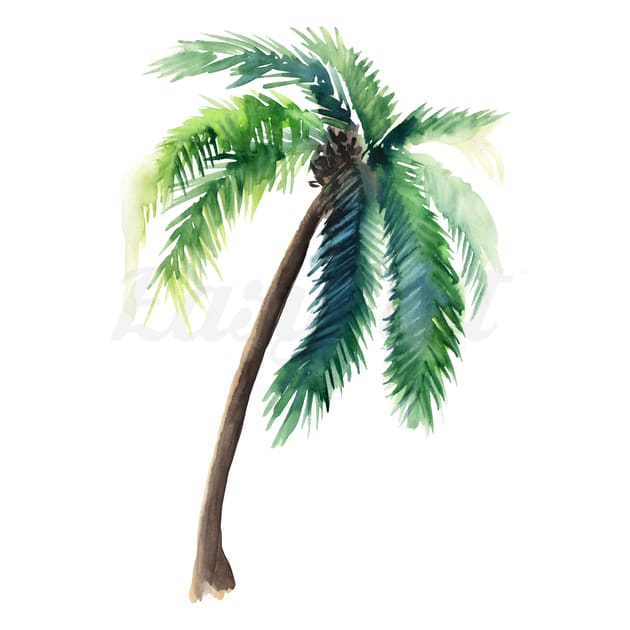 Watercolour Palm Tree - Temporary Tattoo